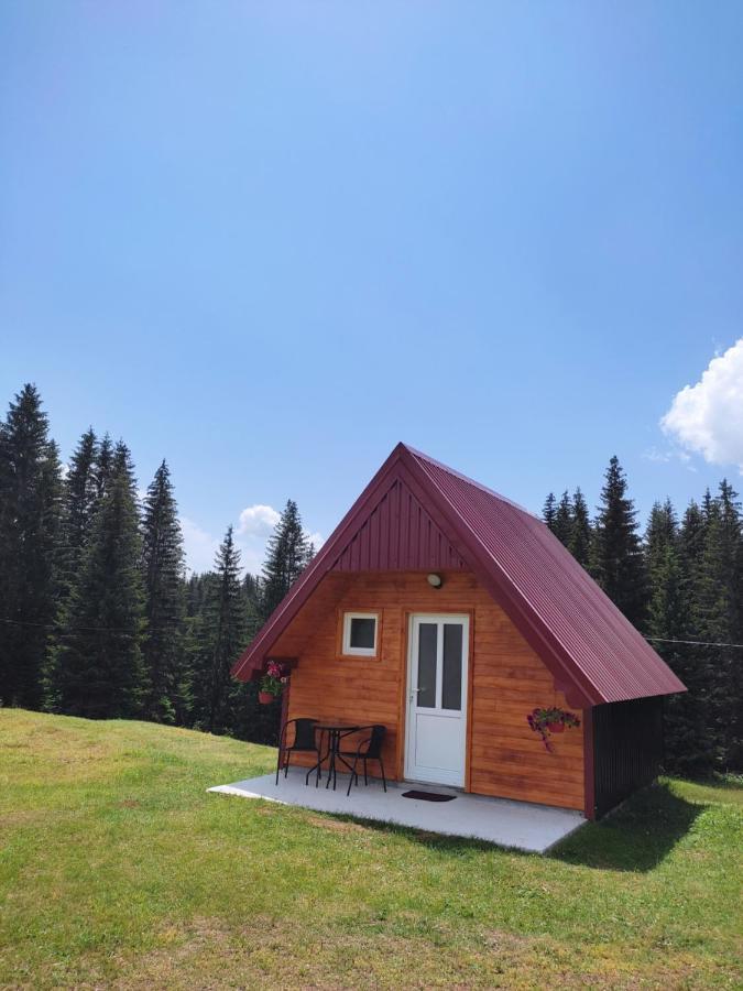Tim Curic Villa Zabljak  Luaran gambar